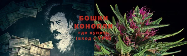 мяу мяу мука Михайловск