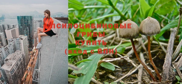 мяу мяу мука Михайловск